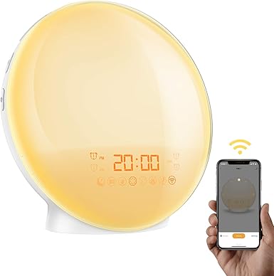 alexa alarm with radio