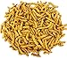 SweetGourmet Narrow Salted Sesame Sticks | 3 Pounds