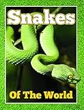 Snakes Of The World: From Pythons to Black Mamba (Awesome Kids Educational Books) by Speedy Publishing