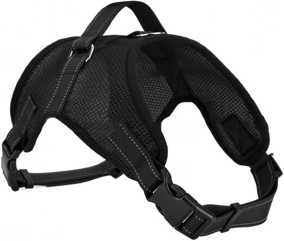 [NEW 2019] Dog Shock Training Collar with Remote Long