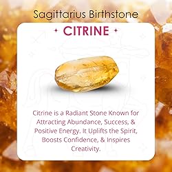 Gempires Natural Raw Citrine Prong Setting Stud
