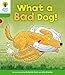 Oxford Reading Tree: Level 2: Stories: What a Bad Dog!