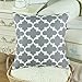 CaliTime Pack of 2 Soft Canvas Throw Pillow Covers Cases for Couch Sofa Home Decor Modern Quatrefoil Accent Geometric 18 X 18 Inches Grey