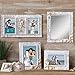 Prinz Sand Piper Resin Frame in Natural White with Seashells and Starfish Accents, 8 by 10-Inch
