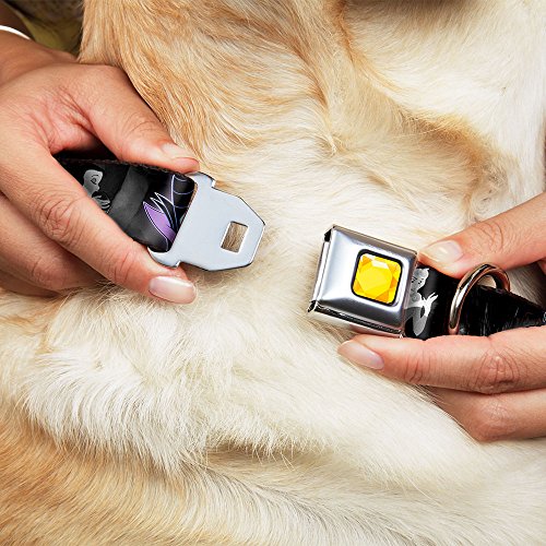 Buckle-Down DC-WDY070-S DYAV Princess Gem CLOSE Dog Collar, Small/9-15"