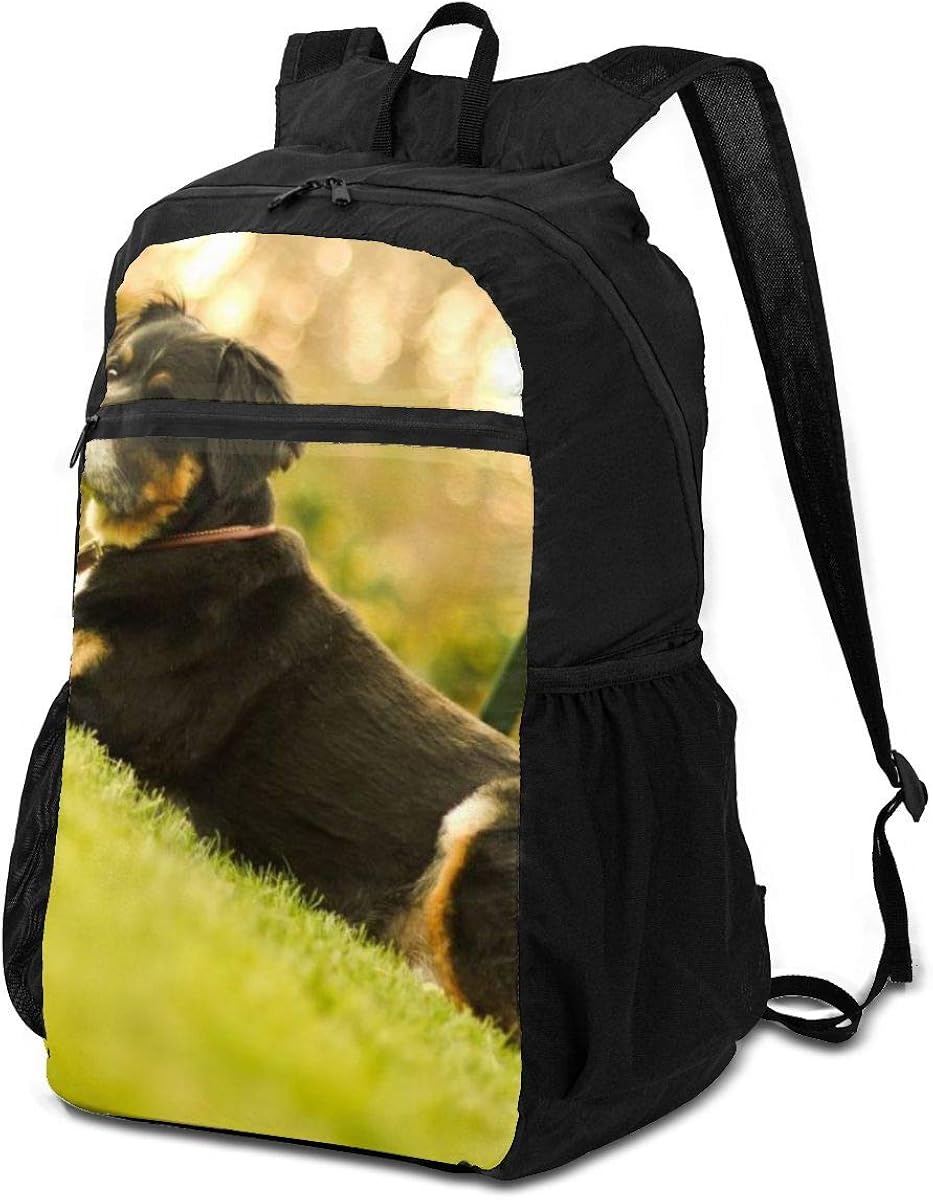 hunde wanderrucksack