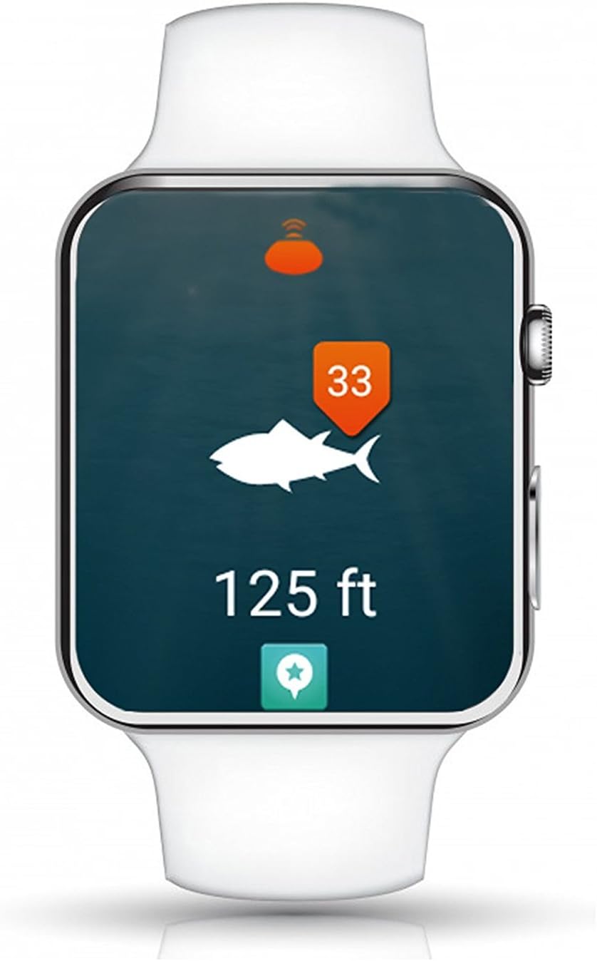 ReelSonar CGG-MY-IBOBBER iBobber Wireless Bluetooth Smart Fish Finder for iOS and Android devices,Classic,Small: Sports & Outdoors