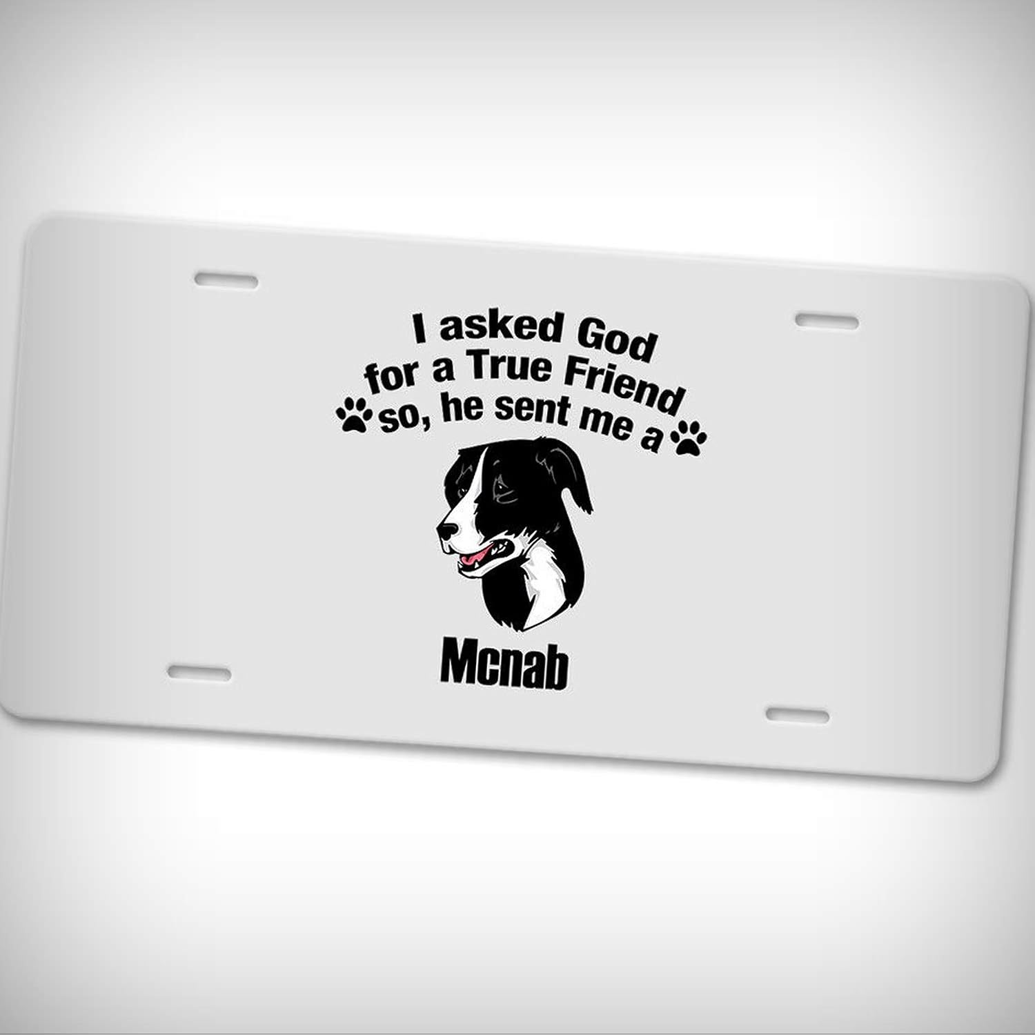 german shorthaired pointer license plate