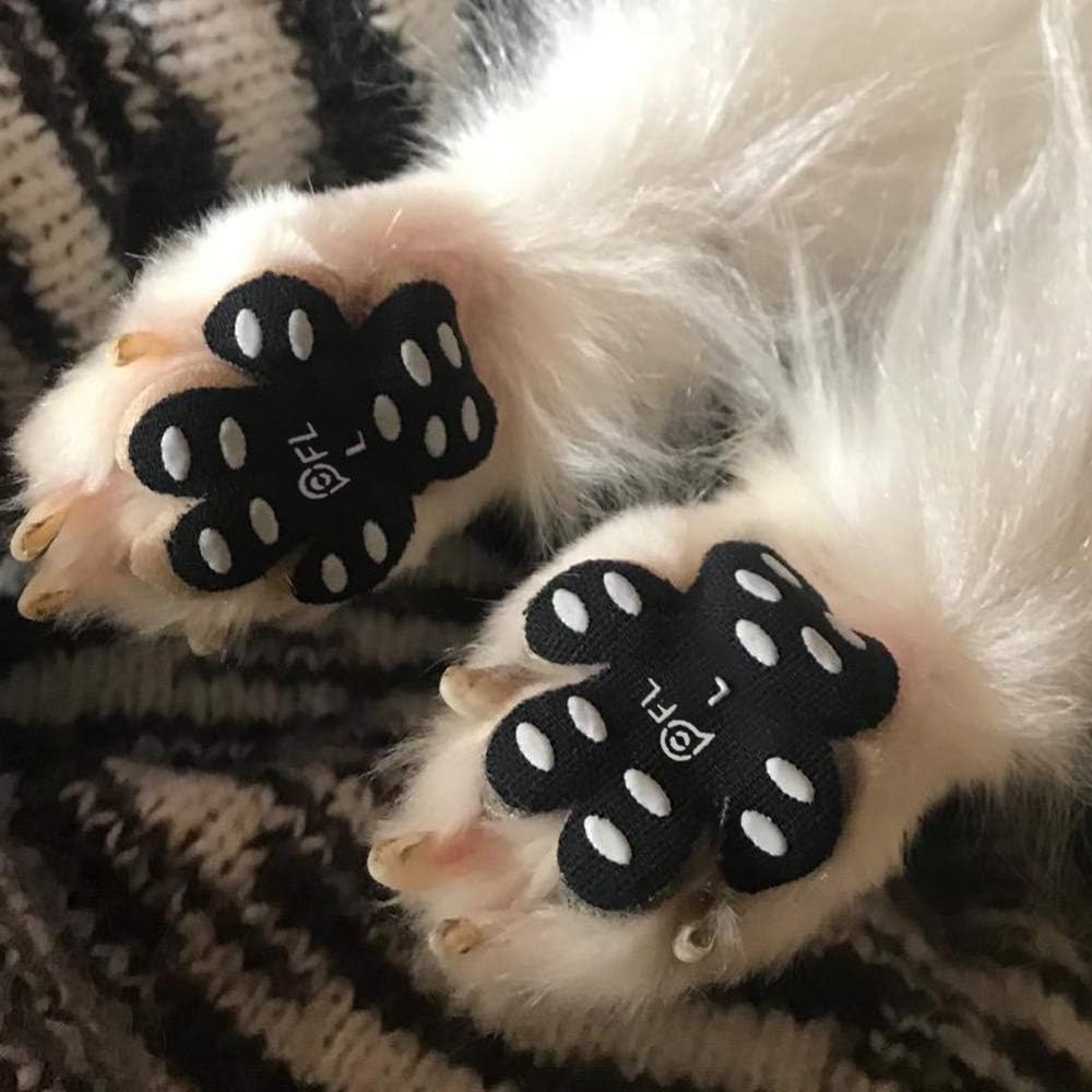 paw traction pads