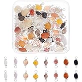SUPERFINDINGS 80Pcs 8 Styles Natural Gemstone Connector Charms Crystal Gemstone Pendant Connectors Nuggets Mixed Stone Pendant Connector Charm with Platinum Tone for Necklaces