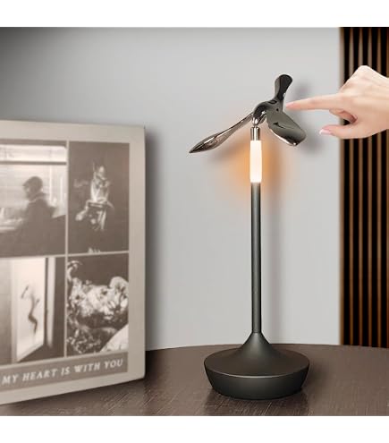 Amazon.com: Graypants Wick Portable LED Lamp (Graphite, Classic