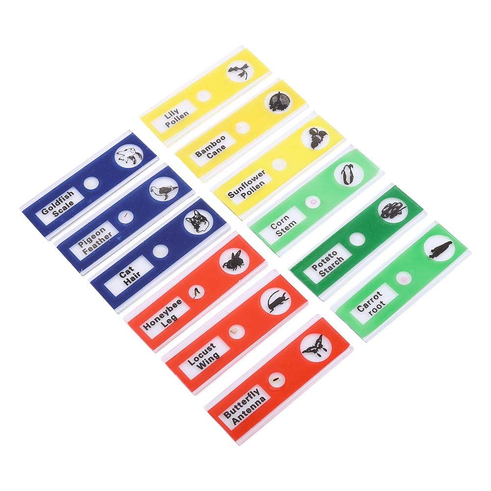 12pcs Plastic Prepared Microscope Slides - Biology Lab Specimens, Portable, Educational (Mixed Pack)