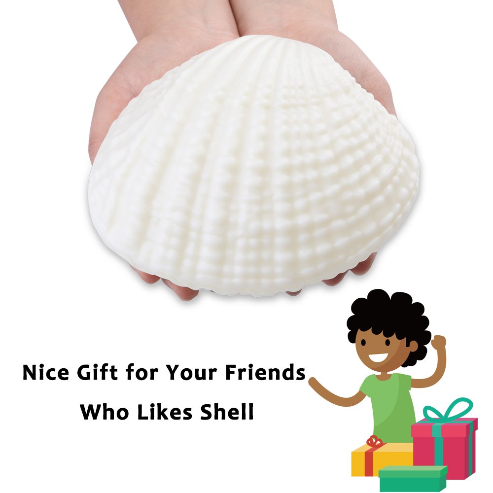 Shell LED Night Light Bluetooth Speaker-Qoolife 2-in-1 Functional USB Rechargeable Colorful Shell Music Lamp Music Desk Light for Children Room Home Decor