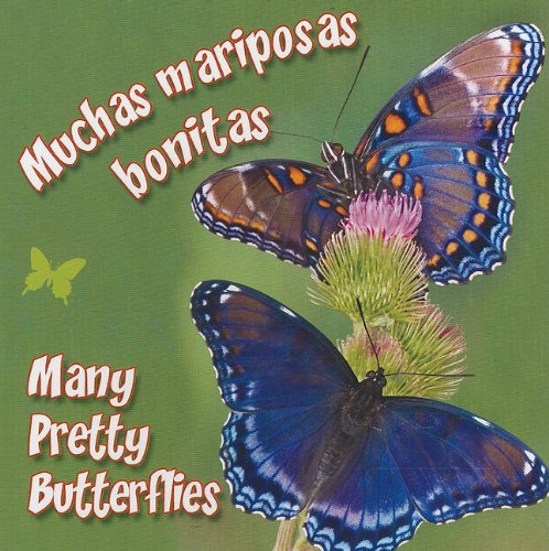 Muchas Mariposas Bonitas Many Pretty Butterflies Rourke Board Books Spanish And English Edition Rourke Publishing 9781615900992 Amazon Com Books