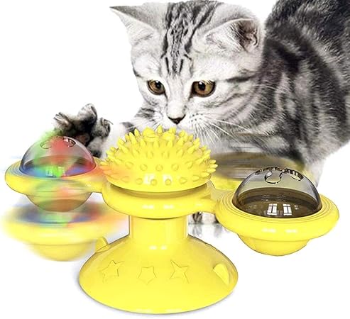 cat wheel amazon