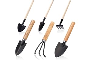 KULUSION Small Garden Tool Set, 6 Pieces Iron Gardening Kit Including Hand Shovel, Transplant Shovel and Hand Rake with Wood Non-Slip Handle Perfect for Plant Lovers