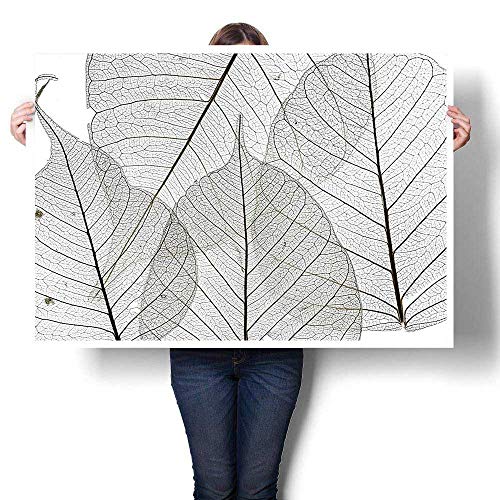 SCOCICI1588 Modern Canvas Painting Wall Art,Macro Leaf Veins Tissue Pattern Cells Minimalist Foliage Plant Artsy Olive Green Oils,Wall Stickers,16" W x 12" L(Frameless)