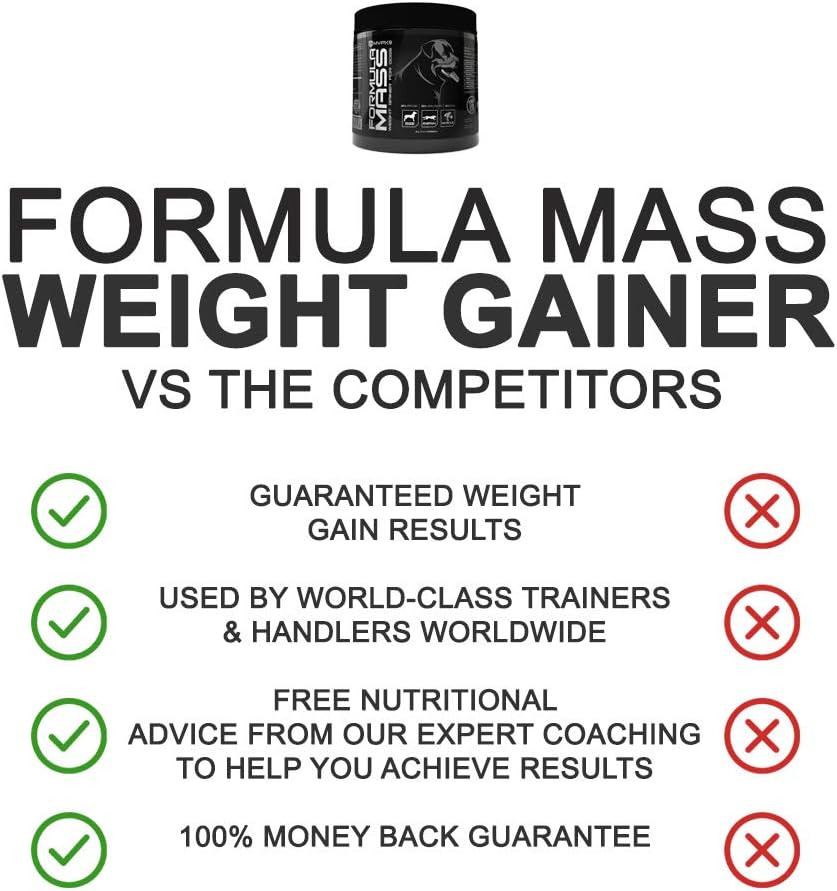 mvp mass gainer