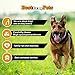 Best For My Pets Tripe Sticks for Dogs (5-Inch, 6-Ounce) Great for Puppies, Senior and Small Dogs All-Natural Rawhide-Free Dog Treats Bladder Sticks Chews