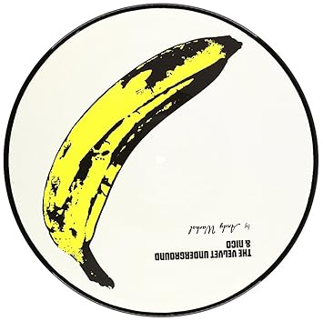 andy warhol (pic disc)
