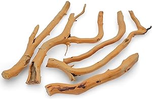 Azil Natural Driftwood Root Mix (5 pcs) – 100% Natural Driftwood for Aquarium, Reptiles, Terrariums, Vivariums, Aquascaping & Planted Tanks (Size: 7″–10″ / 17.8–25.4 cm)