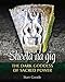Sheela na gig: The Dark Goddess of Sacred Power by Starr Goode