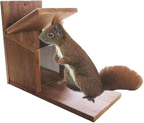 Amazon Com H G 64 Feeding Station Squirrel Solid Wood Pet Supplies