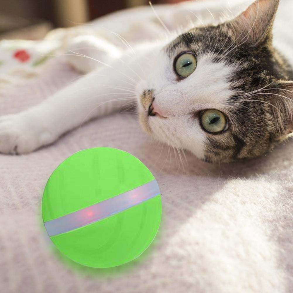 Domybest - Pelota eléctrica para Animales de compañía, Pelota ...
