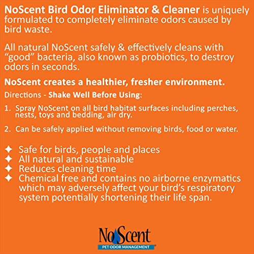 No Scent Bird Professional Pet Poop Cleaner & Odor Eliminator Safe