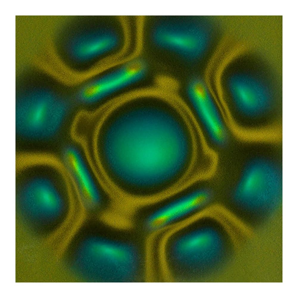 PRATYAHARA Magnetic Observation Film 4 x 4 Inch Magnetic Film Static Field Magnetic Flux Display Sheet Magnet Pattern Detector