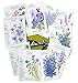 "So Blue" Flowers Seeds 10 Different Seed Packets By Botanical Interests in Gift Box