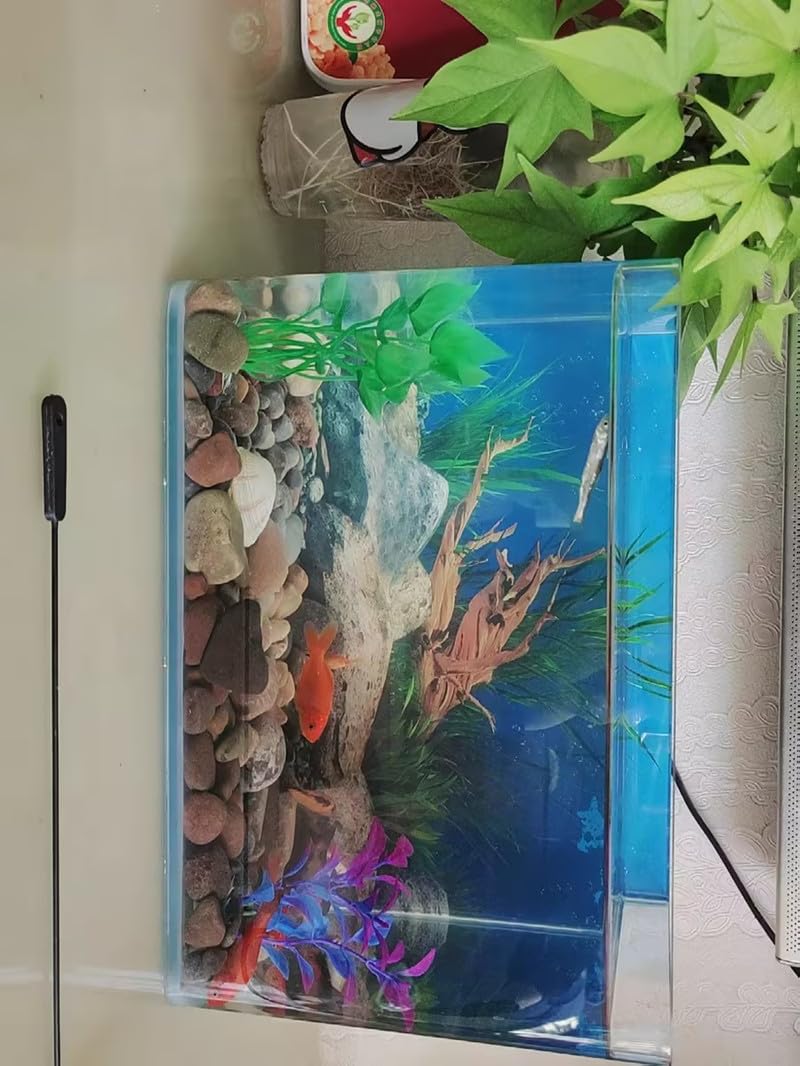 View 9