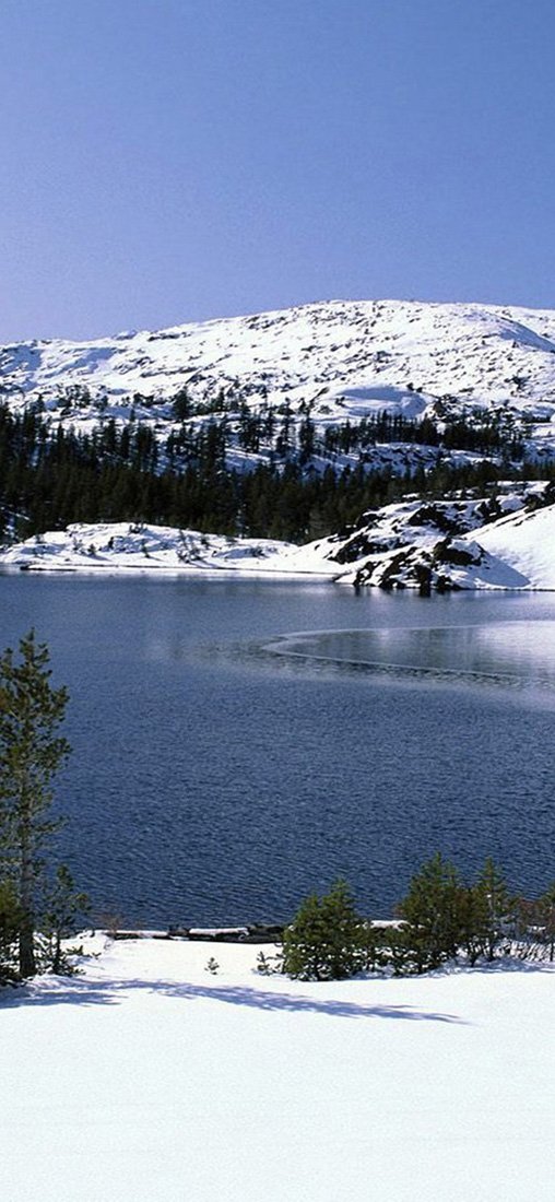 PeelitStickit, Beautiful Nature Wall Murals, ID-1032, vinyl