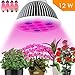 UOTOO LED Grow Light Bulb, garden grow light, Plant light bulb, Grow Lights Greenhouse Growing Flowers,Vegetables,Fruits,Garden Grow Room Lights Greenhouse Organic ( E27 12w )