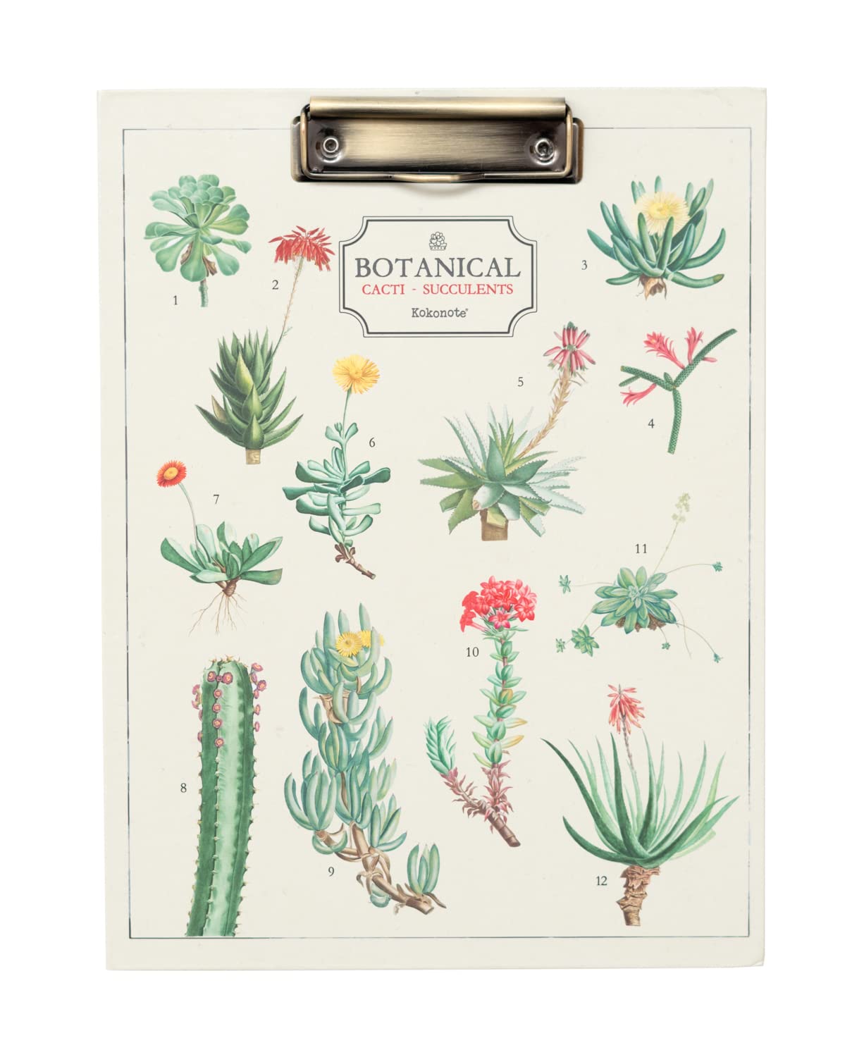 Grupo Erik Botanical Cacti Folder with Clip - A4 File Folder - Includes Notepad and Pocket - 9.1 x 11.8 inches / 23 x 30.6 cm - Clip Board - Cute Stationery