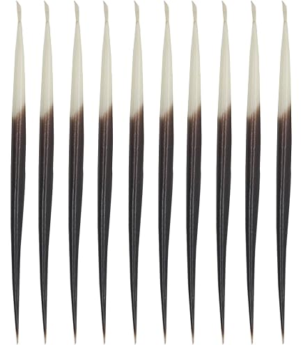 Fansoftiks Lot de 10 bâtons à cheveux en forme de porc-épic - Accessoires indiens - Bouée de pêche - Kits de couture