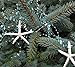 Beach Decor Nautical Beaded Starfish Garland - White Starfish Decorative Garland - 5FT TEAL