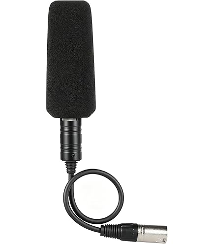 Amazon.com: Piezas de recambio: Sony Microphone ECM-XM1, 154274912