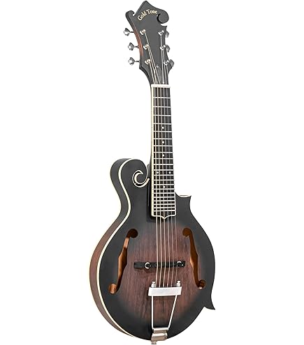 Amazon.com: Gold Tone GM-70 F-Style Mandolin (Two Tone