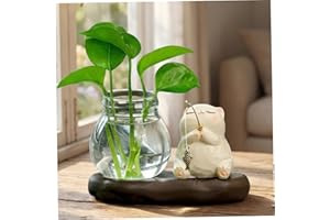 Propagation Vases for Plants, Minimalist Plant Propagation Station with Wood Stand, Hydroponic Planter for Desk, Office Decor