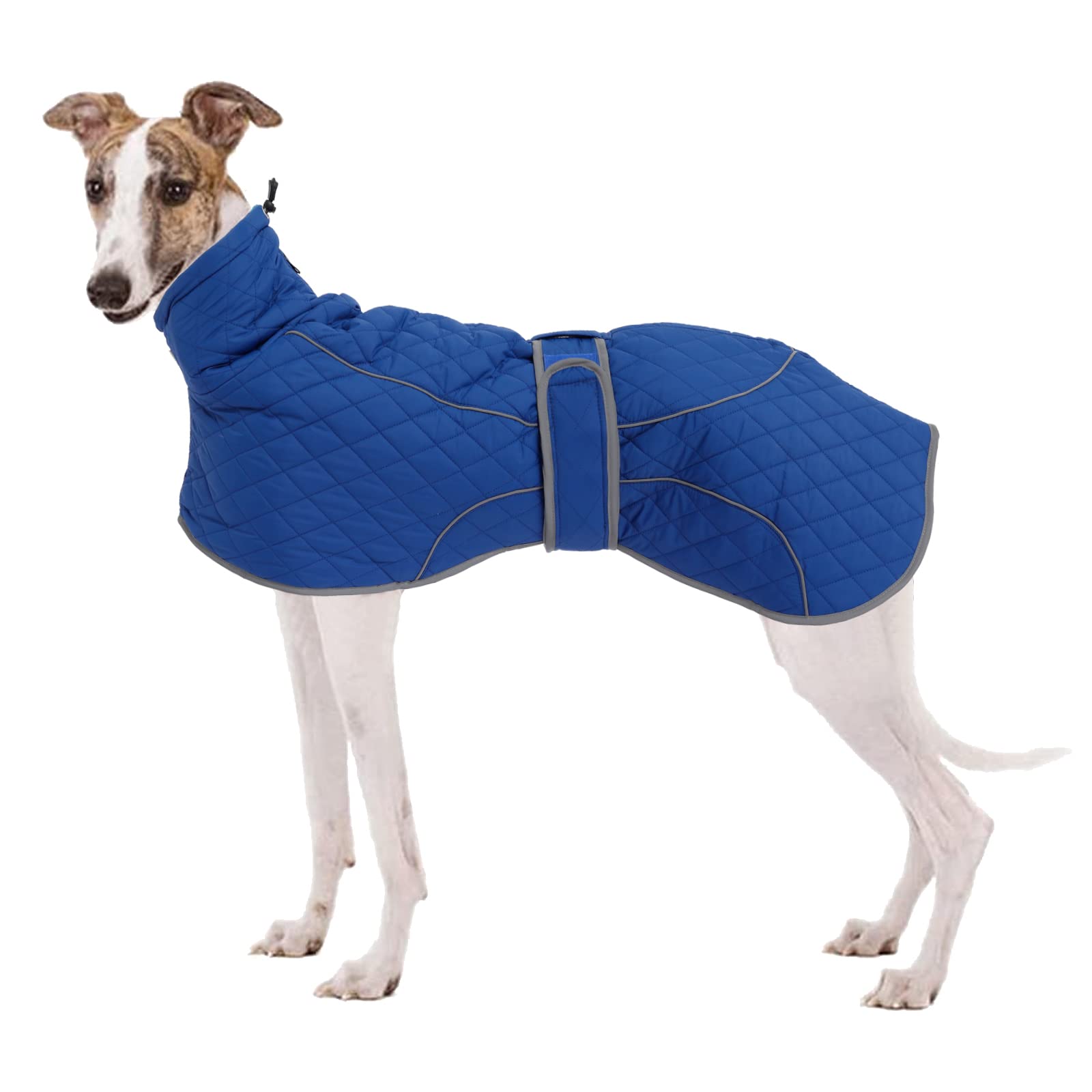 Morezi Greyhound Winter Coat, Whippet Coat with Padded Fleece Lining, Water Resistant Dog Jacket with Hook and Loop Closure and Reflective Trim Safety - Navy - 3XLarge