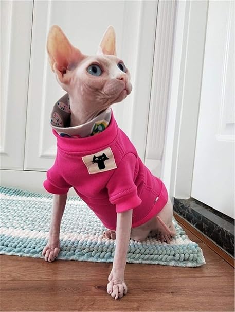Zhihan Pull En Coton Sphinx Chat Sans Poils Vetements D Automne Et D Hiver Rose Xl Amazon Fr Animalerie