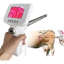 Amazon.com : Visual Dog Artificial Insemination Gun，Horse/Cow ...