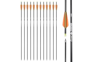 TY ARCHERY Carbon Arrow Hunting Arrows with 100 Grain Removable Tips for Archery Compound & Recurve & Traditional Bow Practice Shooting (Pack of 12)