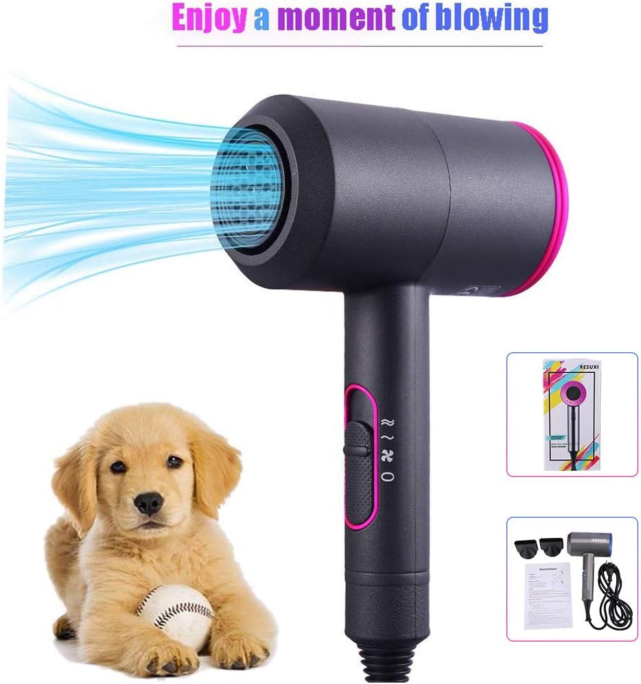 hungry and homeless cat rescue