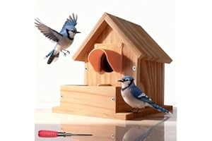 Paiaojia Hanging Bird House for Outside, Cedar Wooden Bird House to Paint for Finch Bluebird Cardinals, Bird Nest Feeder Kit for Outdoor Backyard Courtyard Patio Decor, (DIY Detachable,1 Pack)