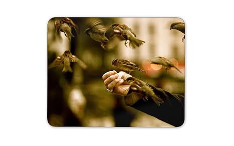 Amazon In Buy Digiclan Bird Feeder Mousepad Online At Low Prices