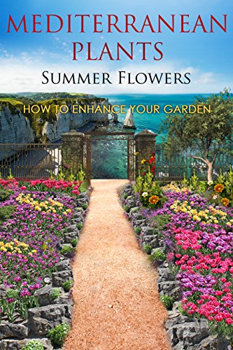 Mediterranean Plants Summer Flowers: How To Enhance Your Garden