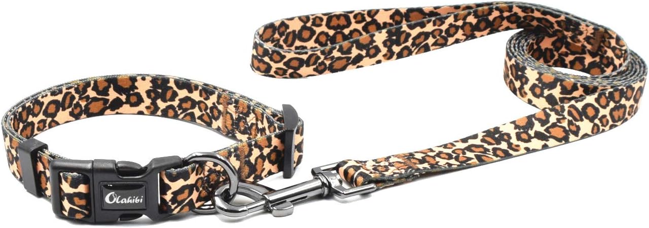 leopard dog collars and leashes