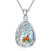 PARYFO Dragonfly Necklace 925 Sterling Silver Moonstone Necklace Rainbow Stone Dragonfly Jewelry Christmas Birthday Gifts for Women Mom Her